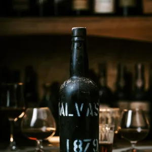 Malvasia - 1879