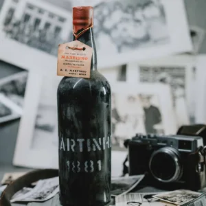 MARTINHO 1881
