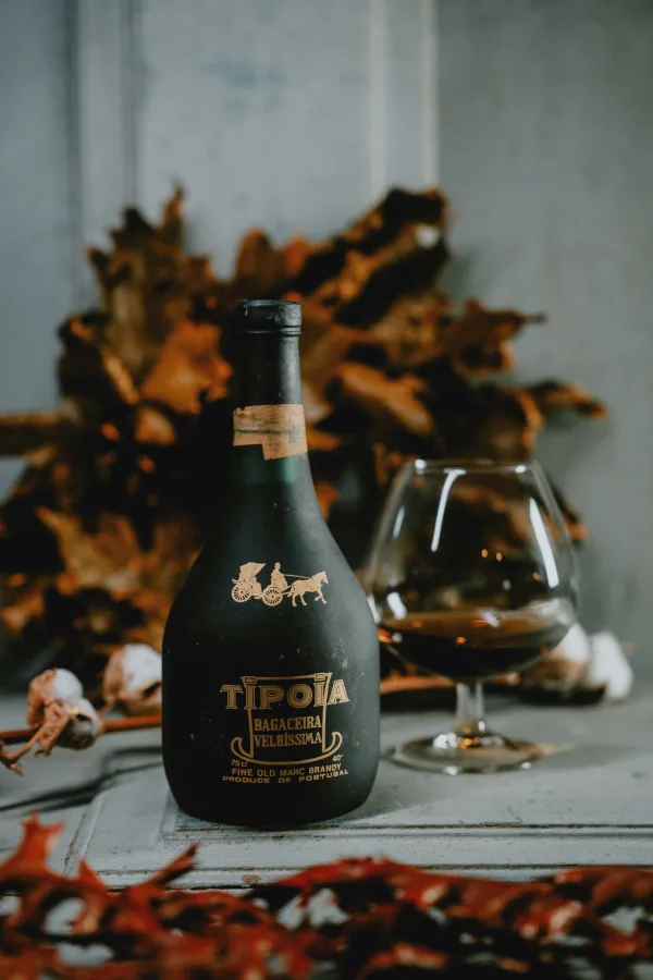 Tipóia Bagaceira Velhíssima