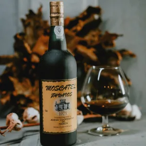 Adega Cooperativa de Favaios - Vinho Fino - 1975