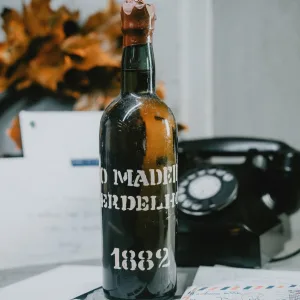 Verdelho - 1882
