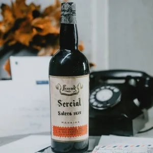 Costa Pina - Leacock Sercial Solera 1835
