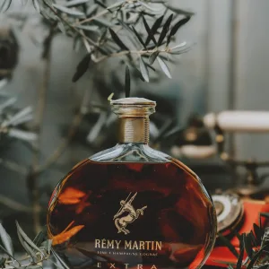 Remy Martin - Extra