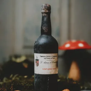Comp. Agrícola e Comercial dos Vinhos do Porto - Vintage 1927