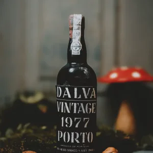 D'alva Vintage 1977