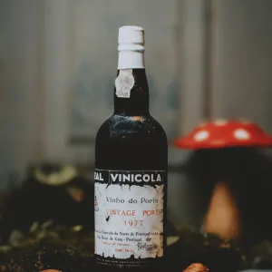 Real Vinícola Vintage Port 1977