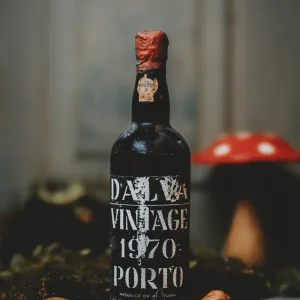 D'alva Vintage 1970