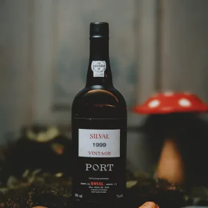 Quinta do Noval - Silval Vintage 1999