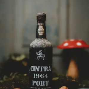 Cintra 1964 Port