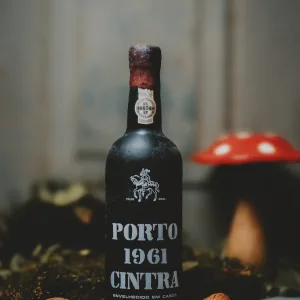 Porto 1961 Cintra