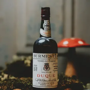 Burmester Duque