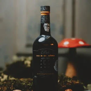Casa de Santa Eufémia - LBV 1995
