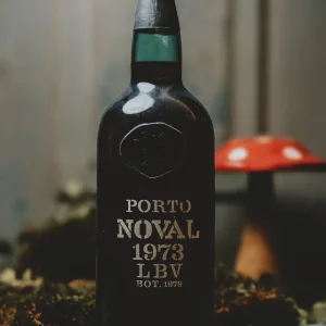 Noval LBV 1973