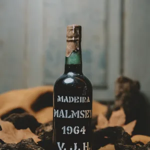 V.J.H Malmsey 1964