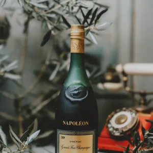 Remy Martin Napoleon - Grand Fine Champagne