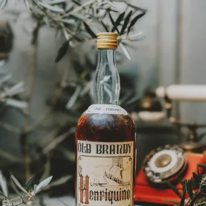 Old Brandy Henriquino