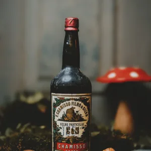 CHAMISSO FILHO & SILVA - VELHO PARTICULAR 1851