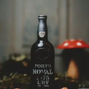 Noval - LBV 1975