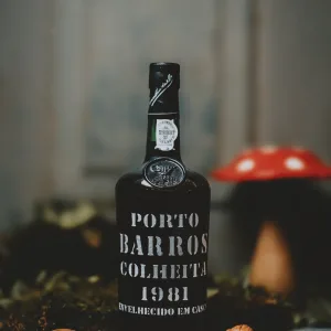 Barros - Colheita 1981