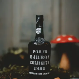 Barros - Colheita 1980