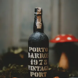 Barros - Vintage 1978