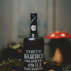 Barros - Colheira 1982