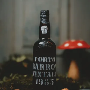 Barros - Vintage 1985
