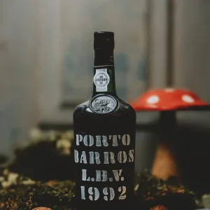 Barros - LBV 1992