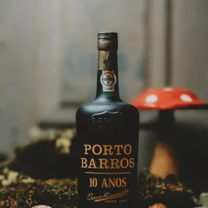 Barros - Porto 10 anos