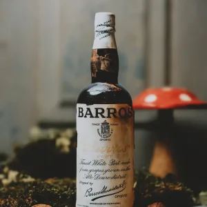 Barros - Finest White Port