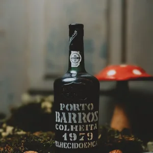 Barros - Colheita 1979