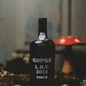 Kopke - LBV 2013