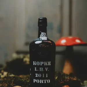 Kopke - LBV 2011