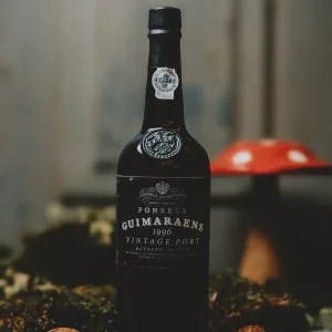 Fonseca - Guimaraens Vintage 1996