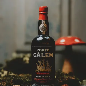 Cálem - Descobridor