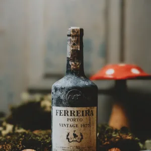 Ferreira - Vintage 1977