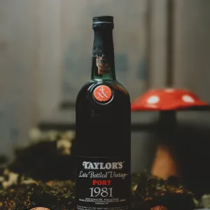 Taylor's - LBV 1981