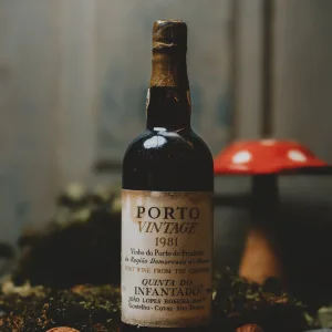 Quinta do Infantado - Vintage 1981