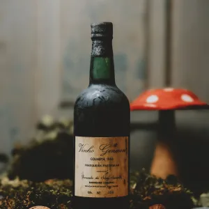 Sanhoane - Colheita de 1955