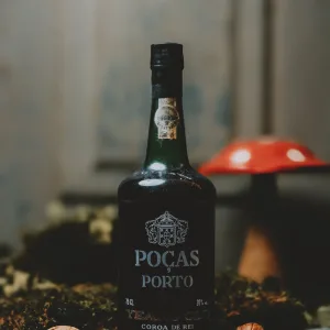 Poças - 20 anos