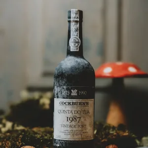 Cockburn's Quinta do Tua - Vintage 1987