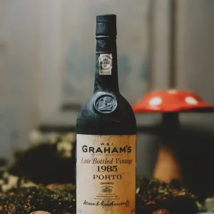 Graham's - LBV 1985