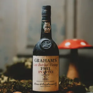 Graham's - LBV 1981