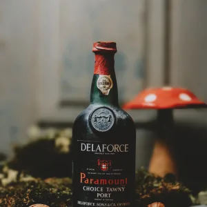 Delaforce Paramount Choice Tawny Port
