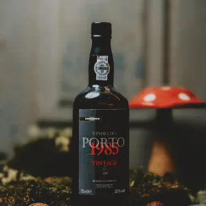 Continente - Porto Vintage 1985