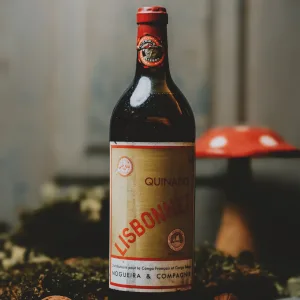 Quinado Lisbonnet