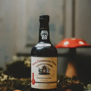 Real Cª Velha - Fundador Tawny