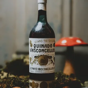 Quinado Vasconcellos
