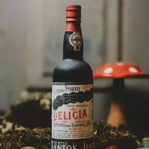Santos Junior - Delicia