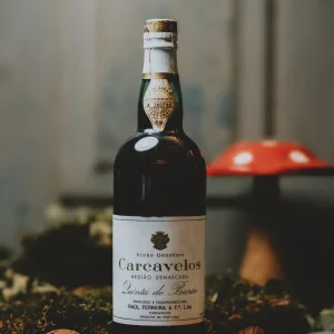 Carcavelos - Quinta do Barão